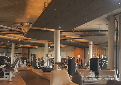 Vita.Rhena Breisach - Fitness und Büroflächen mit Weitblick unter einem Dach